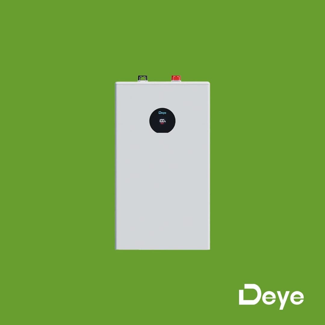 Deye 51.2V 314AH SE-F16 16 KWH